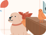 View of What is a Deep-Pressure Therapy (DPT) Dog?